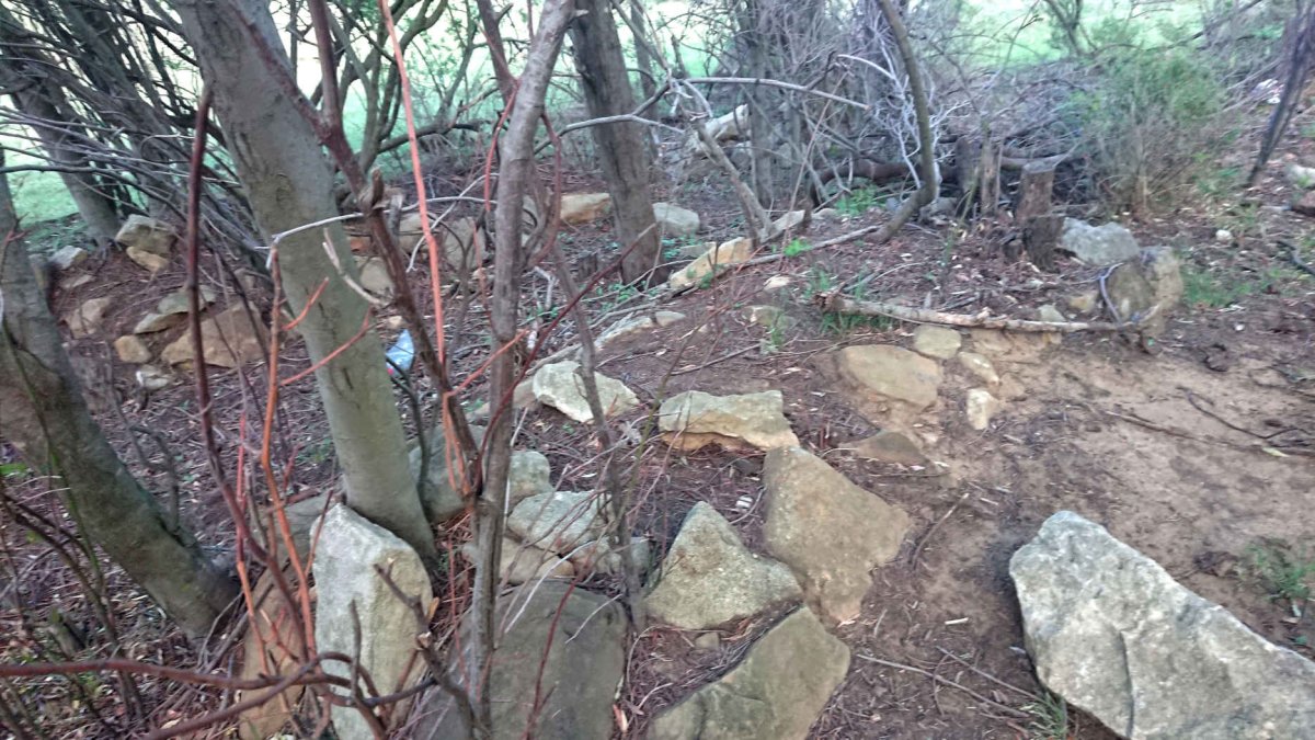 3. Overview
