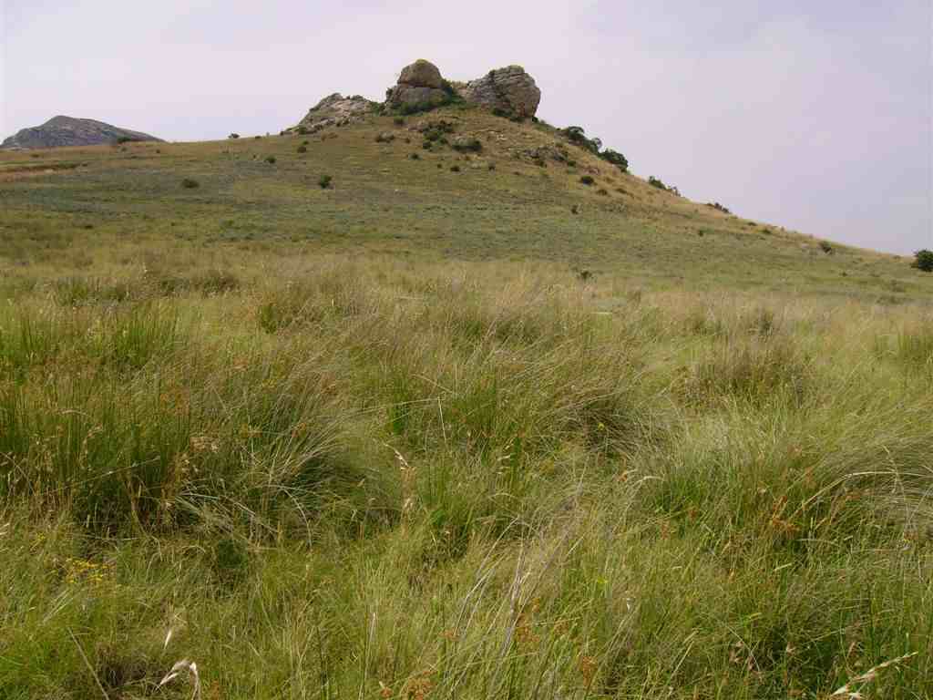 1. Pietersdal Farm