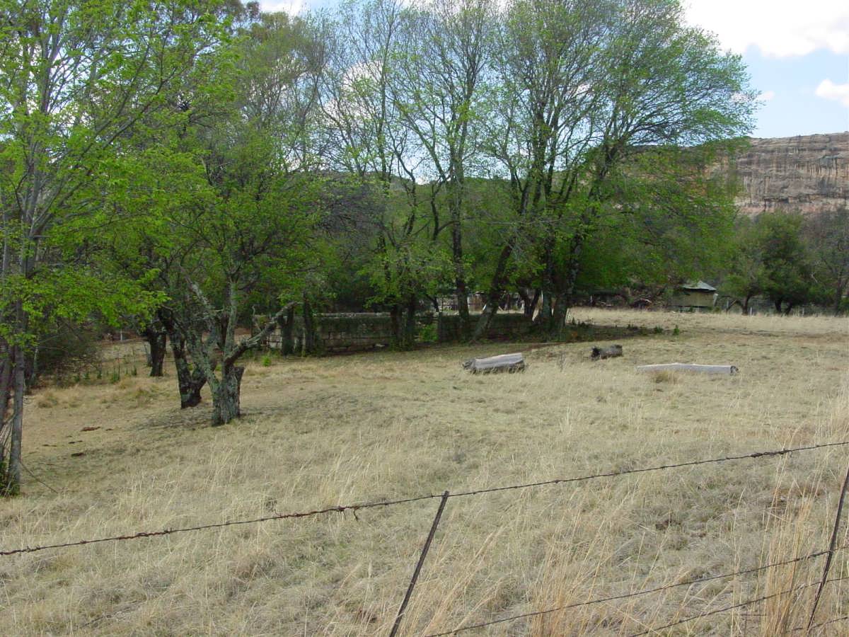 1. Overview