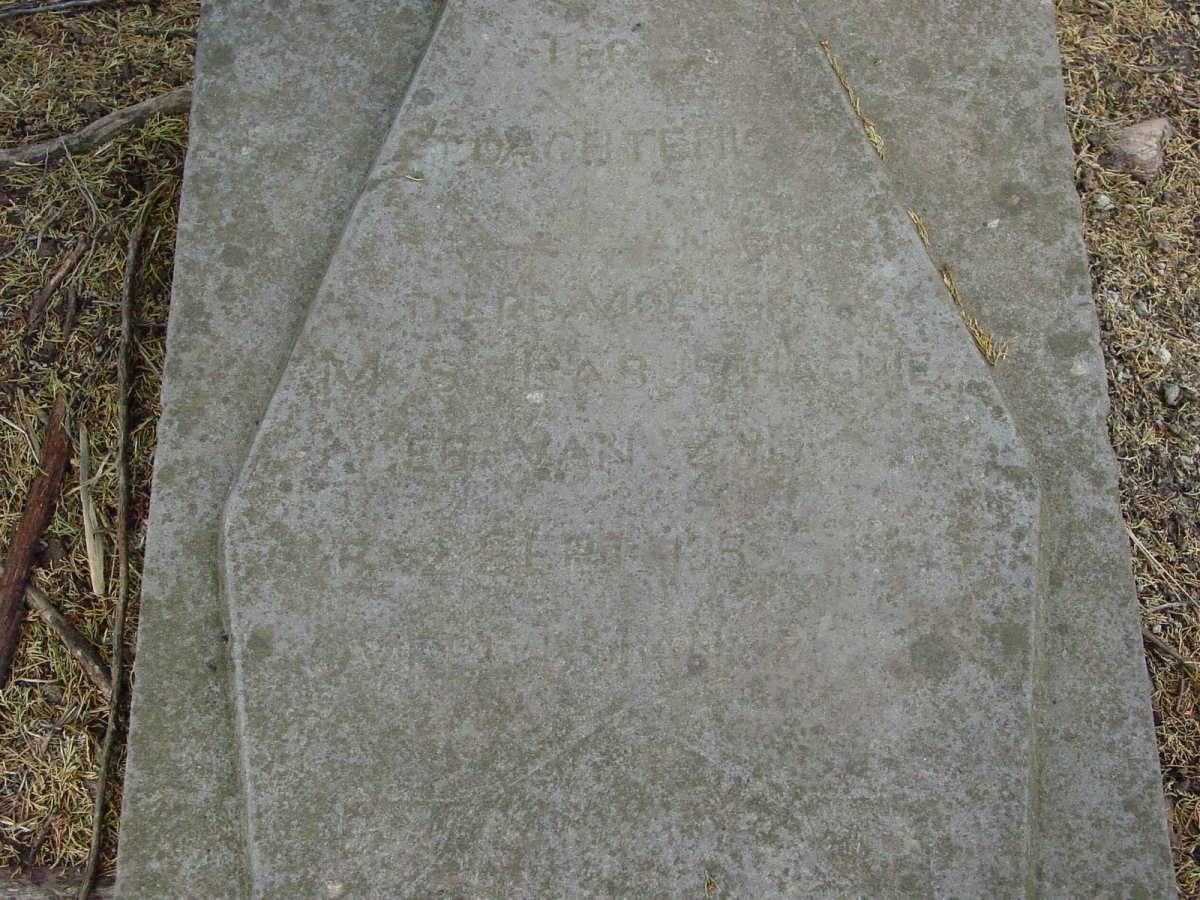 LABUSCHAGNE M.S. nee VAN ZYL 1850-1912