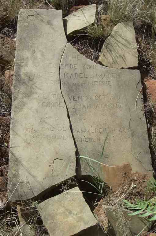MERWE Jan Hen?, van de 1860-1861