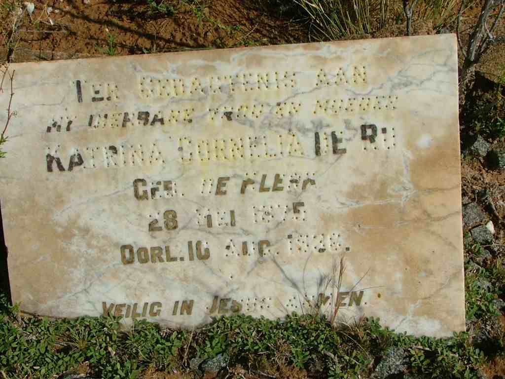 RU Katrina Cornelia, de nee DE KLERK 1875-1936