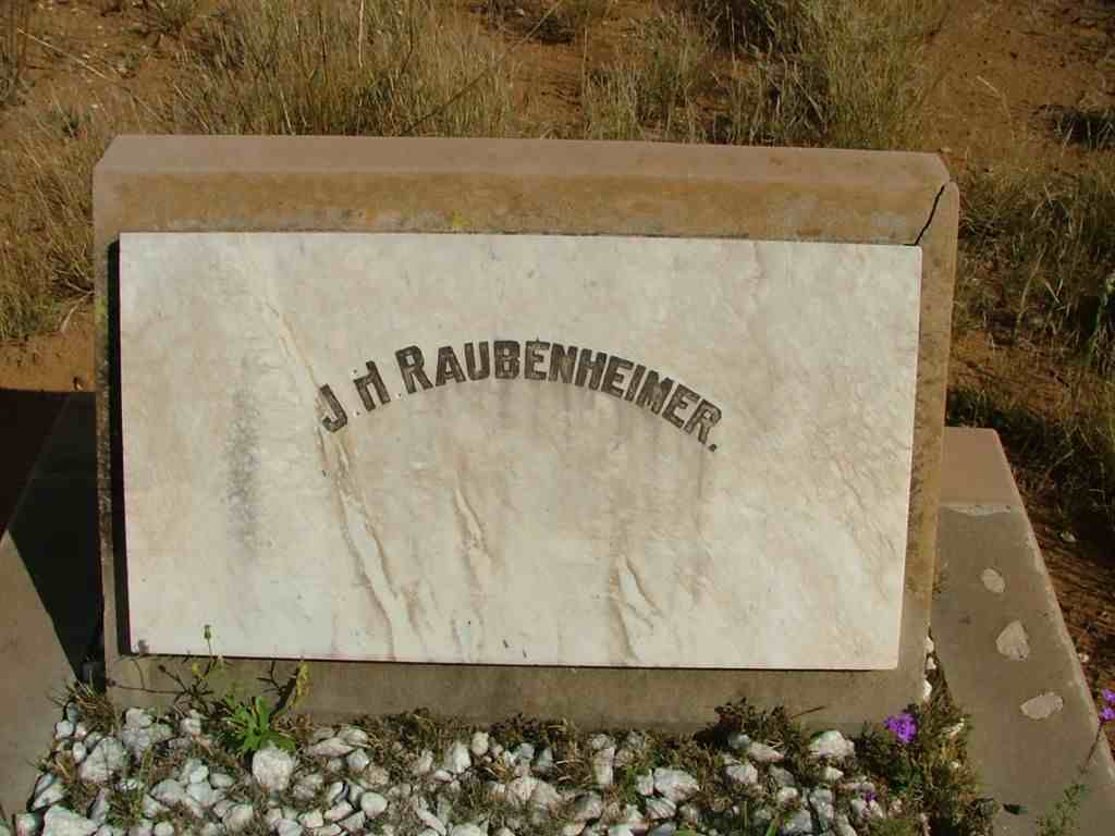 RAUBENHEIMER J.H.