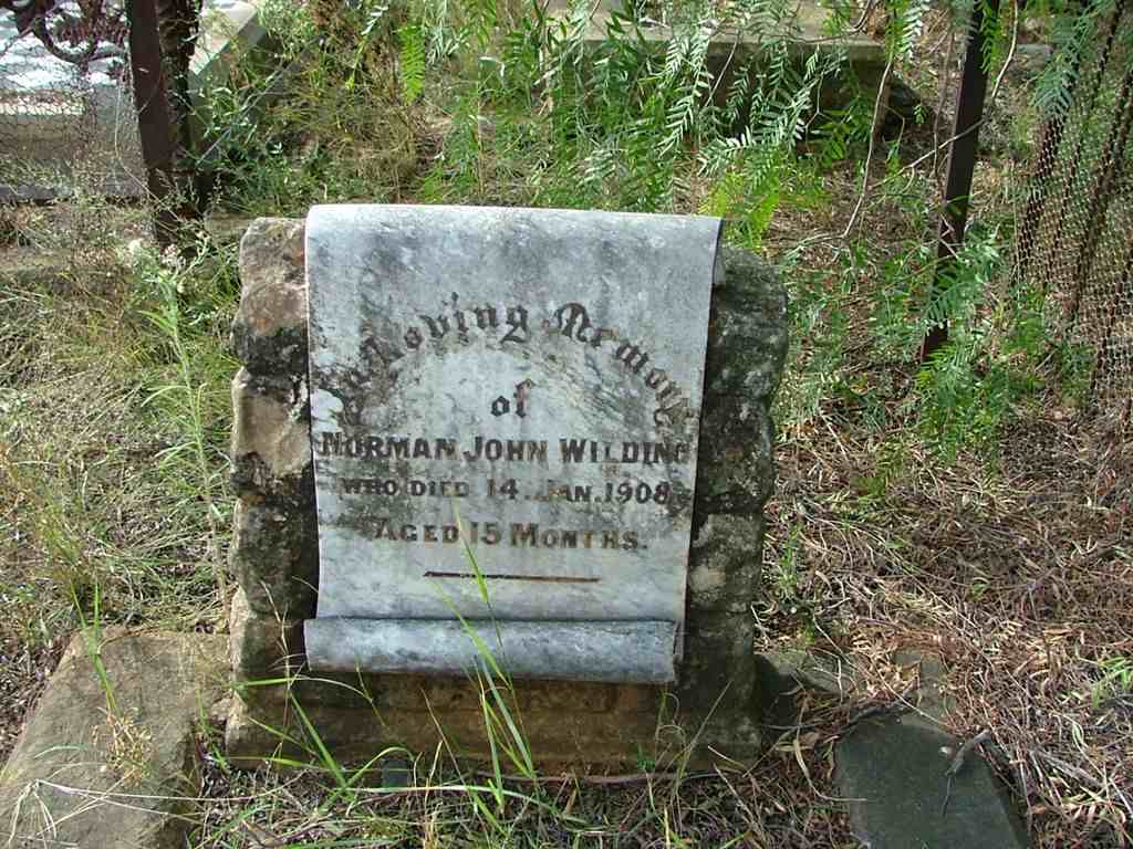 WILDING Norman John -1908
