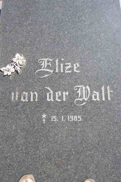 WALT Elize, van der 1985-