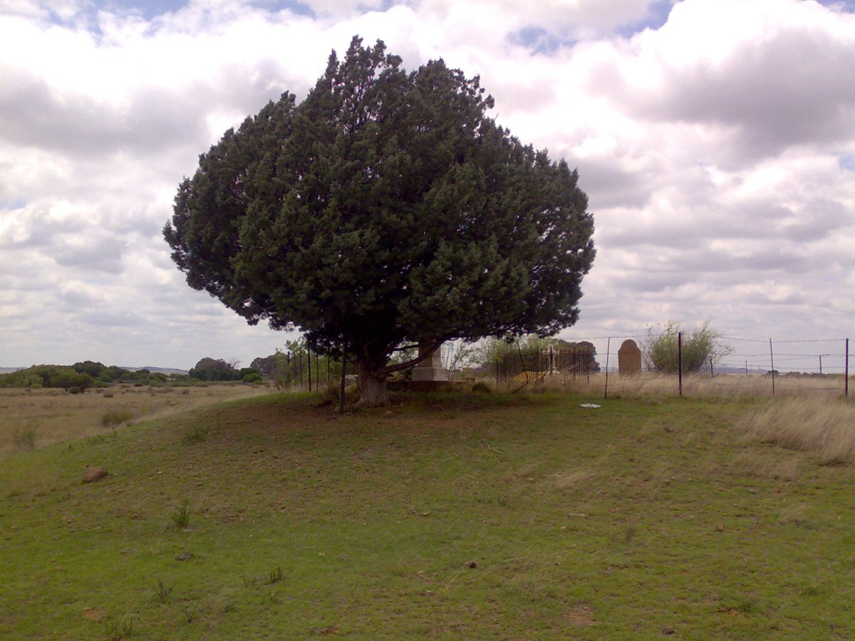 1. Overview of Cemetery