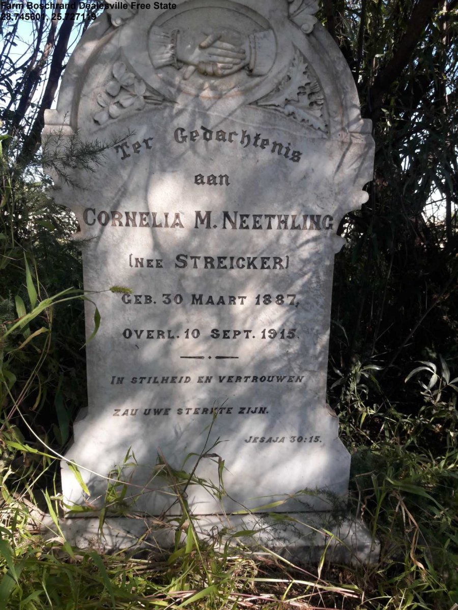 NEETHLING Cornelia M. nee STREICHER 1887-1915