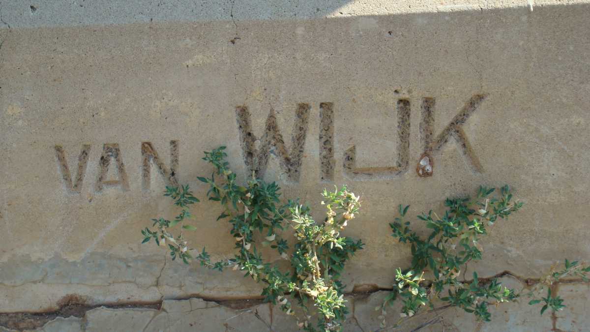 VAN WIJK