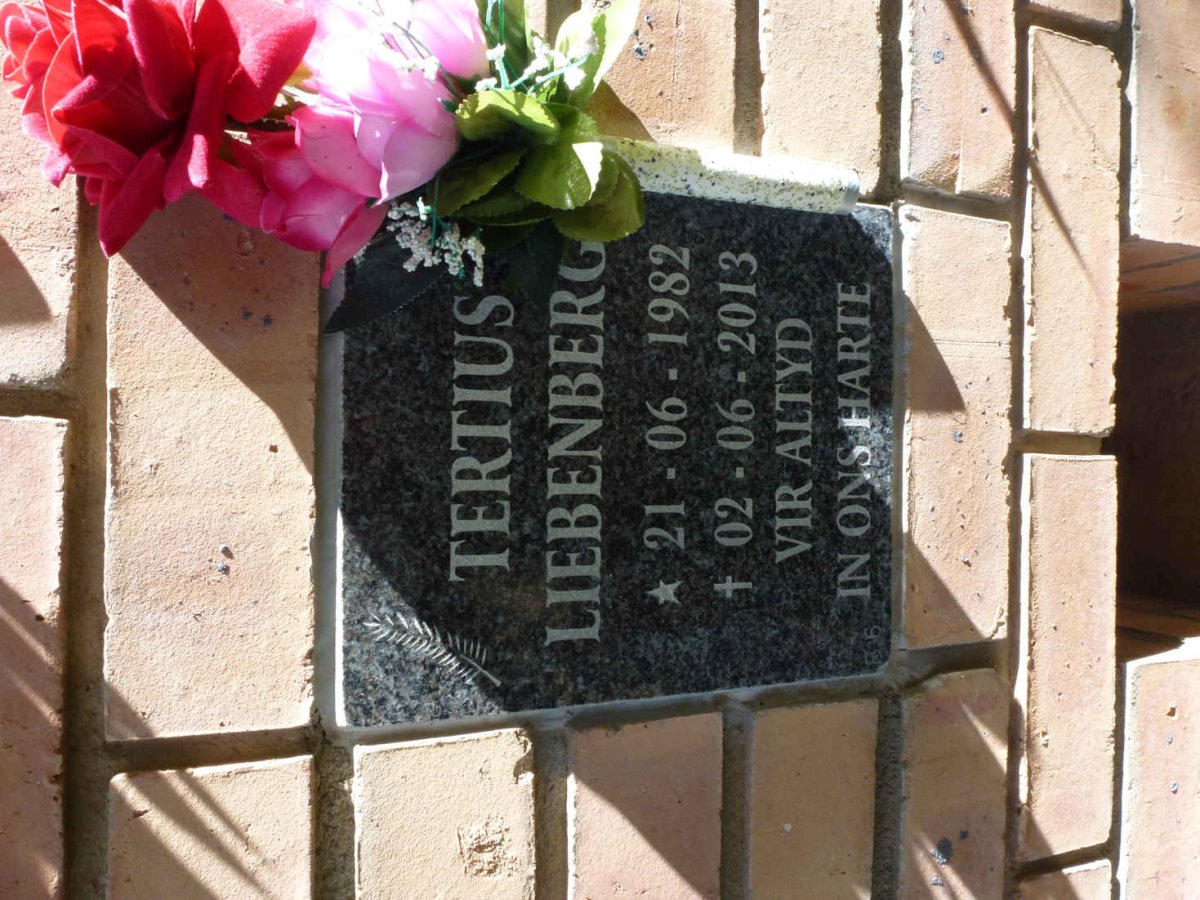 LIEBENBERG Tertius 1982-2013