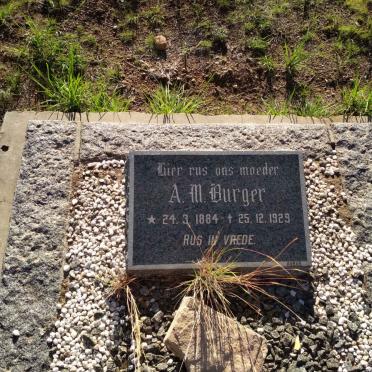 BURGER A.M. 1884-1929