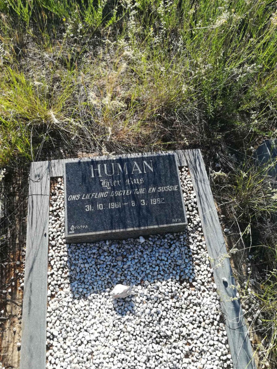 HUMAN 1961-1962