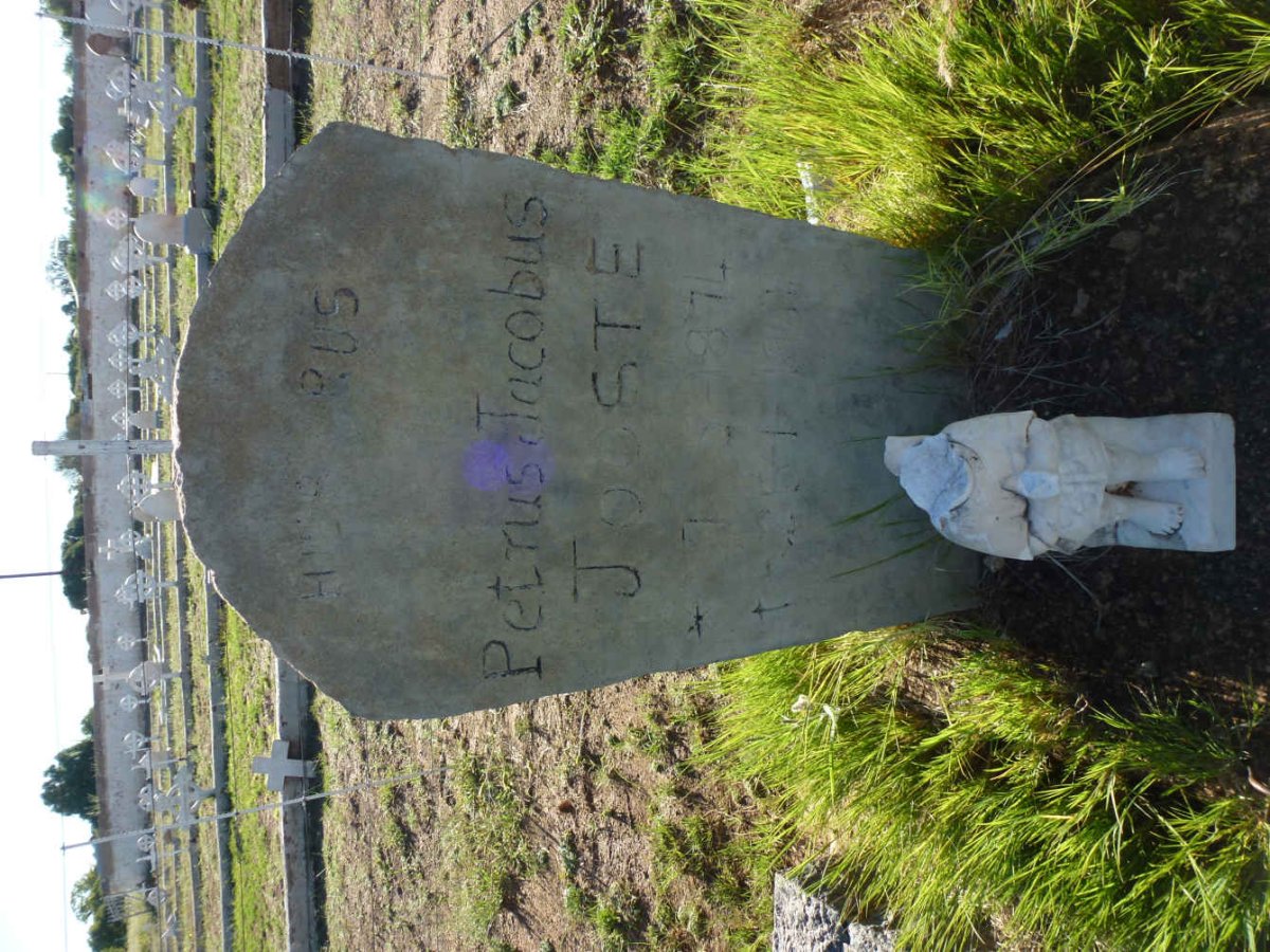JOOSTE Petrus Jacobus 1874-19?4