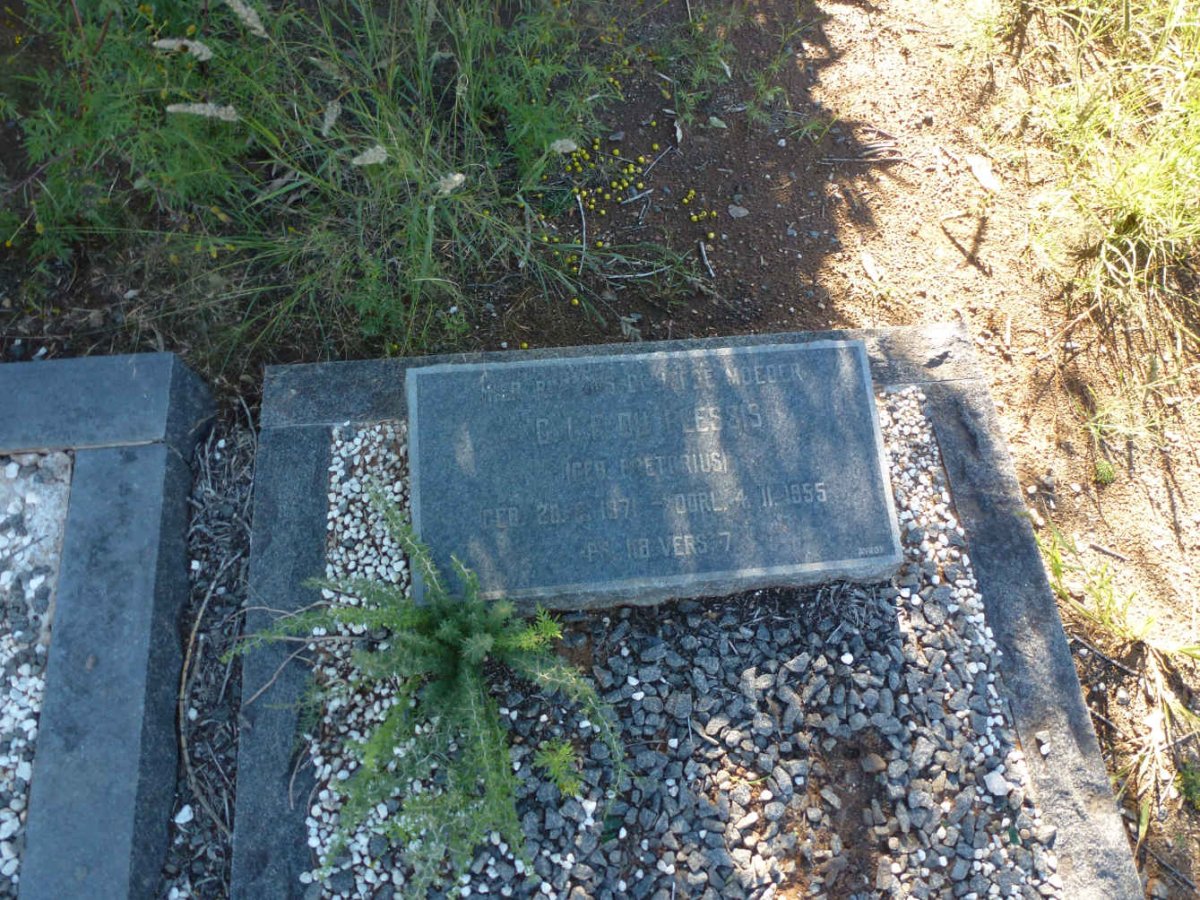 PLESSIS C.I.F., du nee PRETORIUS 1871-1955