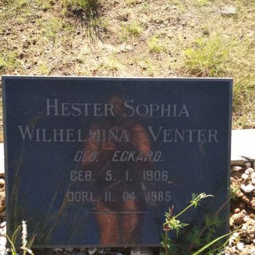 VENTER Hester Sophia Wilhelmina nee ECKARD 1906-1985