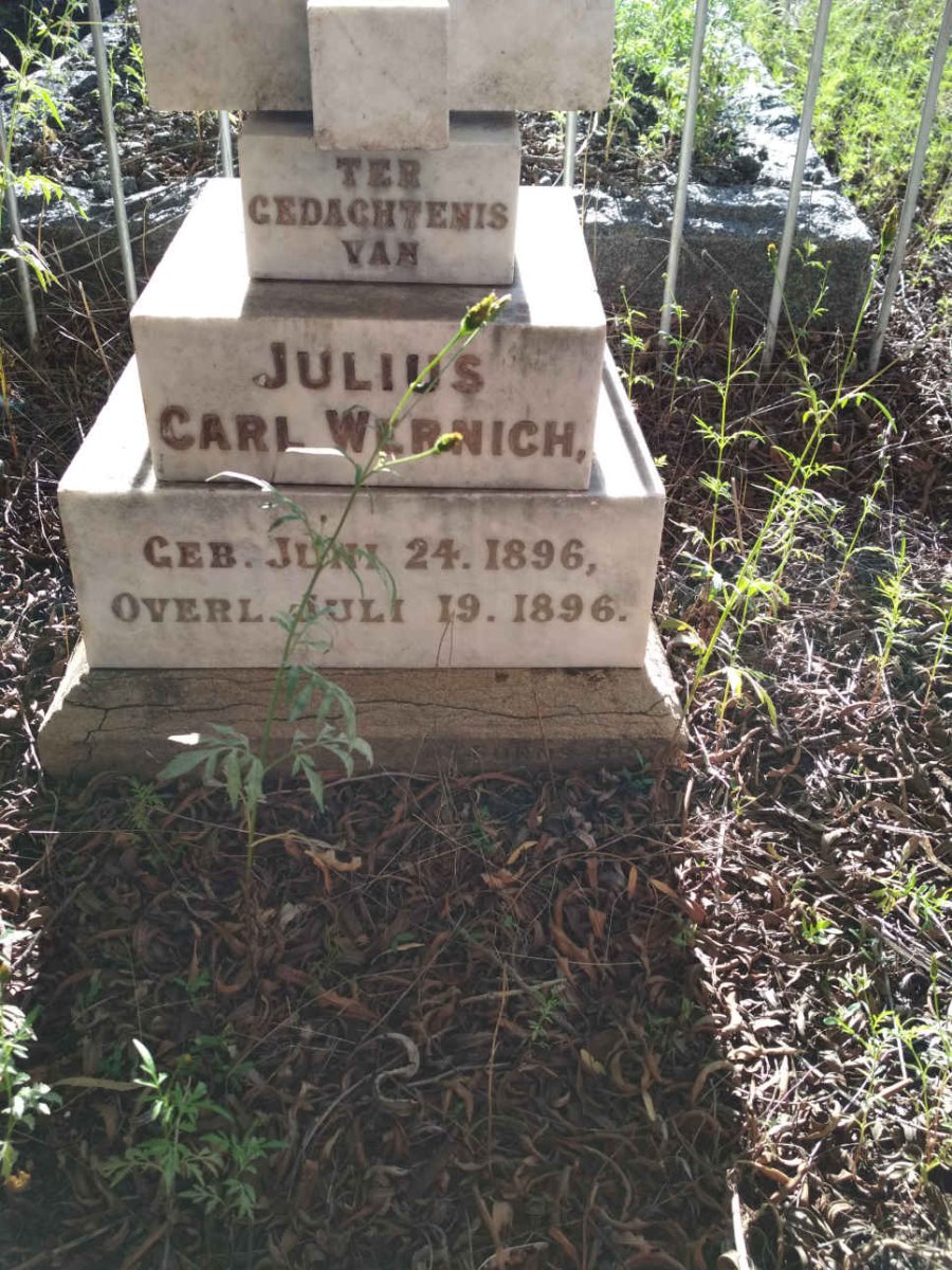 WERNICH Julius Carl 1896-1896