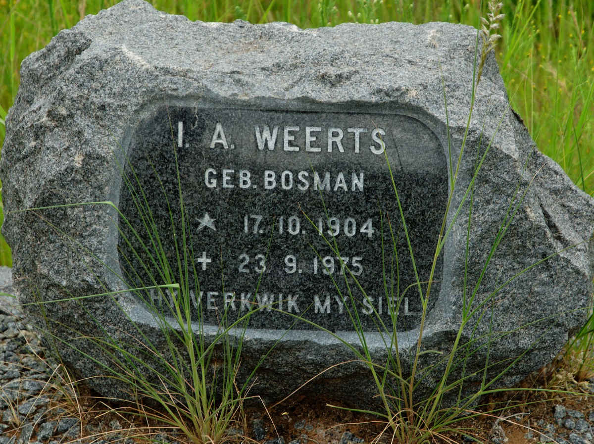 WEERTS I.A. nee BOSMAN 1904-1975