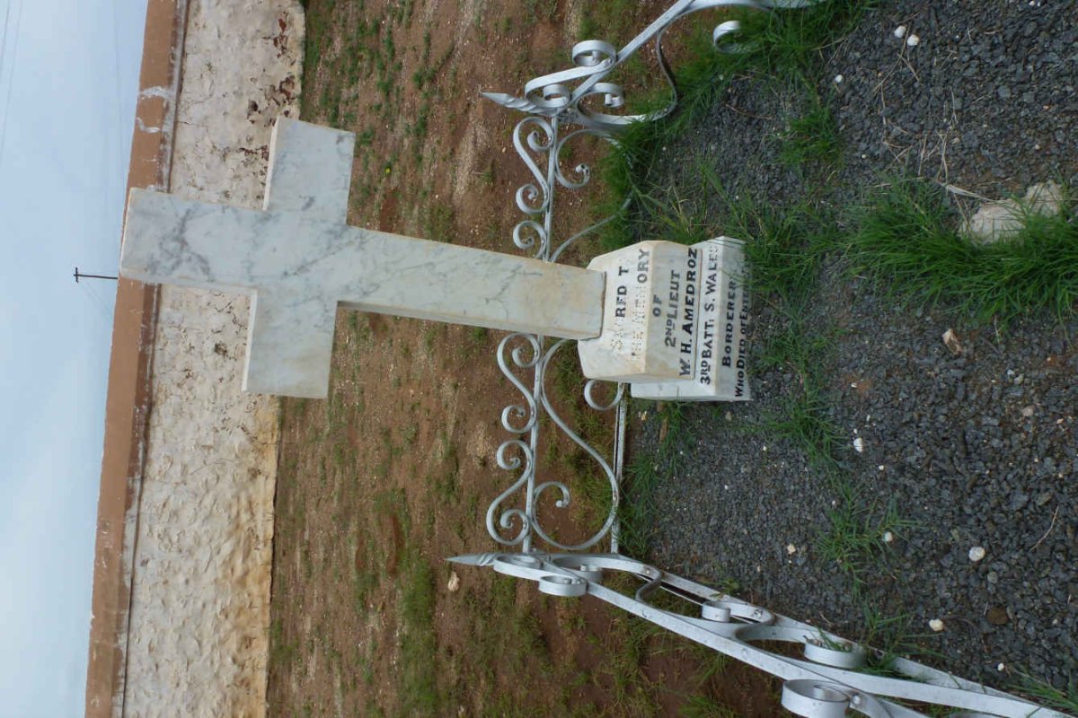 AMEDROZ W.H.