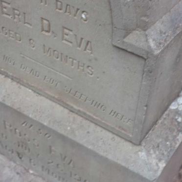 EVA Erl D. :: EVA Ross -1904
