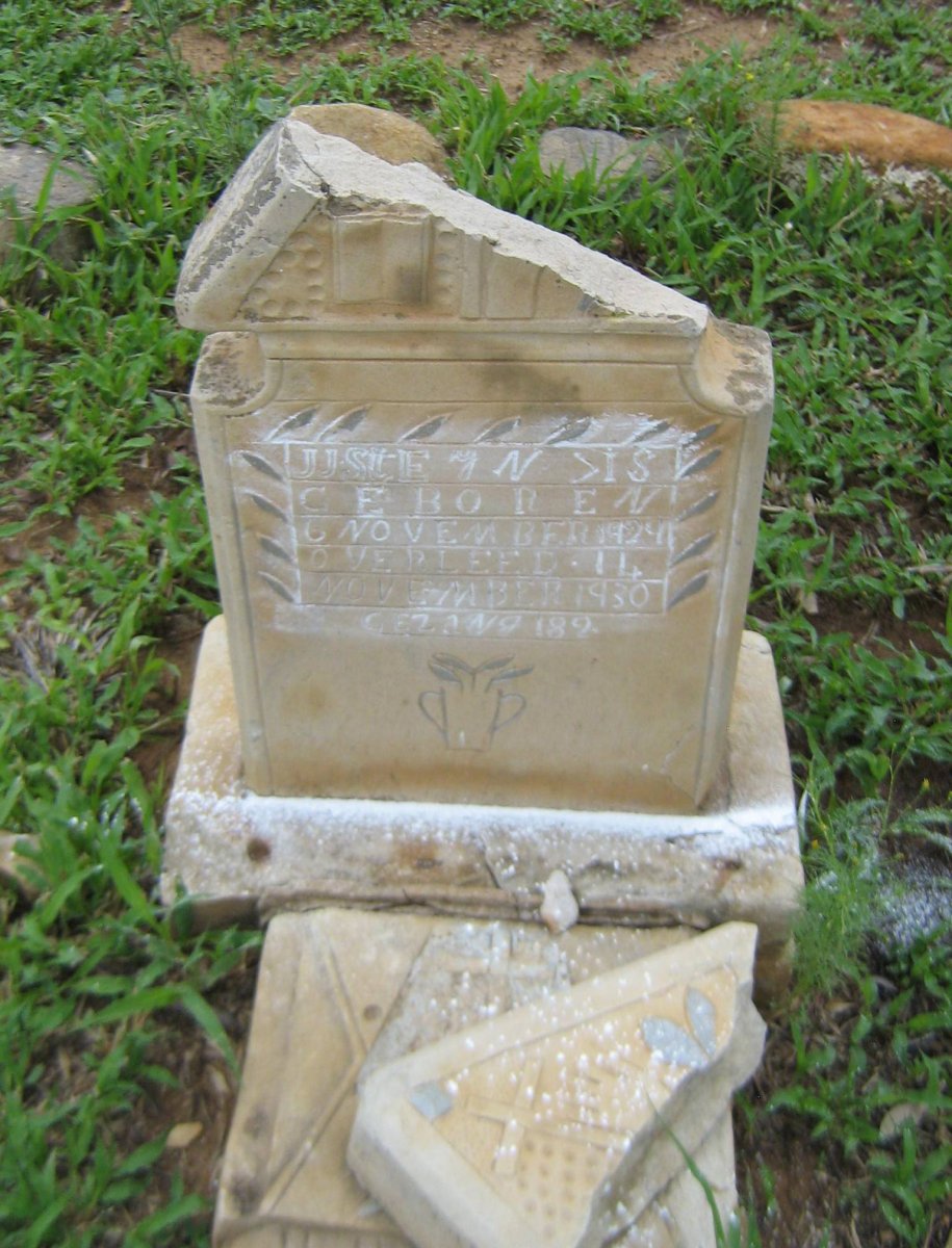 STEYN J.J. 1929-1930