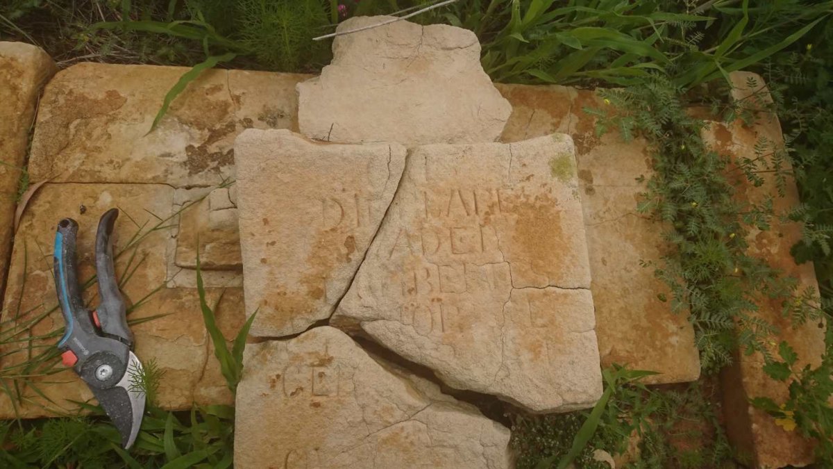 ? Lambertus