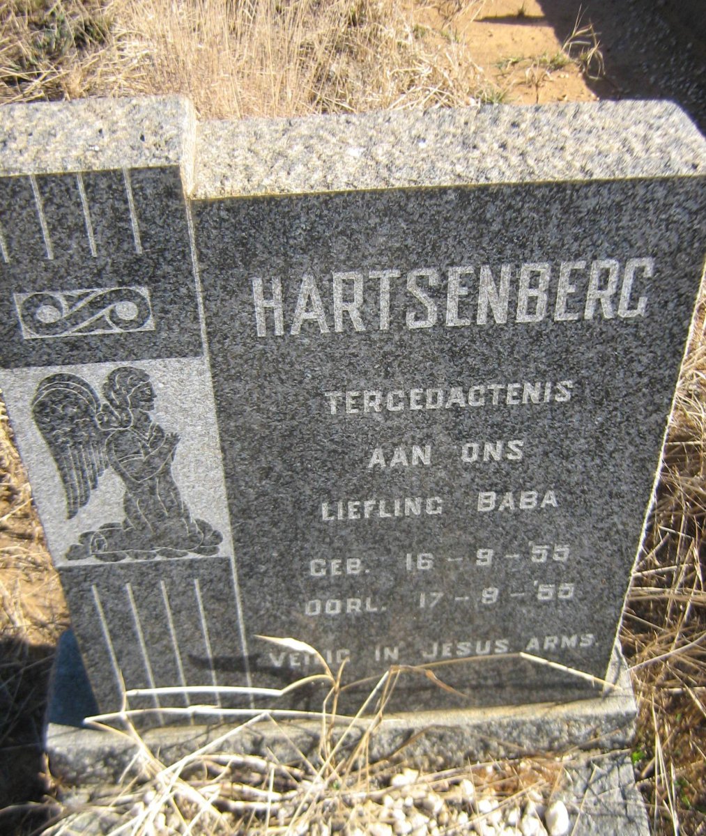 HARTSENBERG 1955-1955