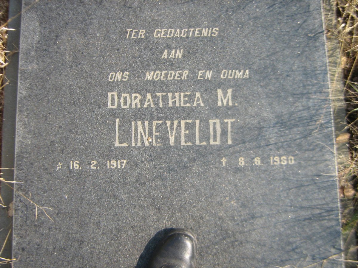 LINEVELDT Dorathea M. 1917-1980