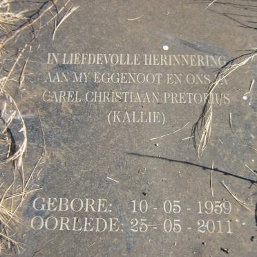 PRETORIUS Carel Christiaan 1959-2011