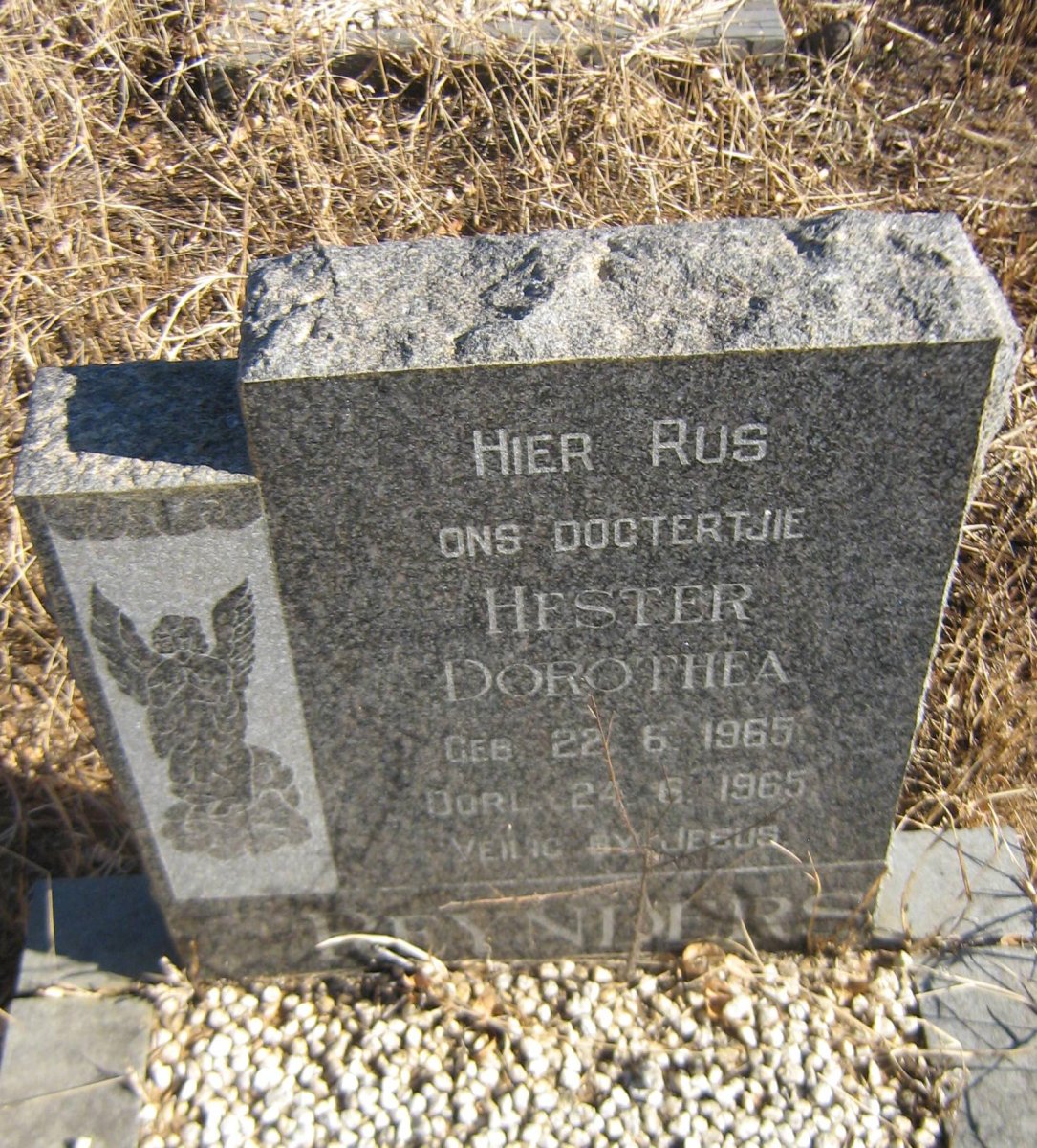 REYNDERS Hester Dorothea 1965-1965