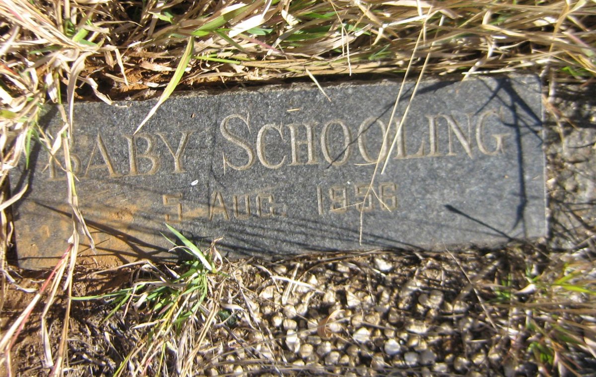 SCHOOLING 1956-1956