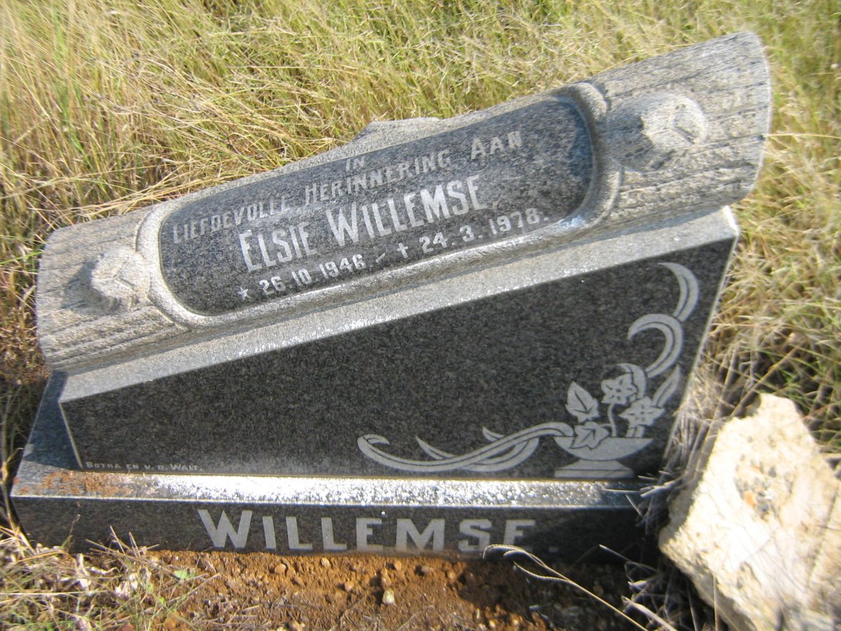 WILLEMSE Elsie 1946-1978