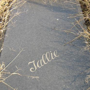 ? Tallie