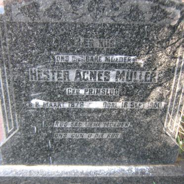 MULLER Hester Agnes nee PRINSLOO 1876-1950