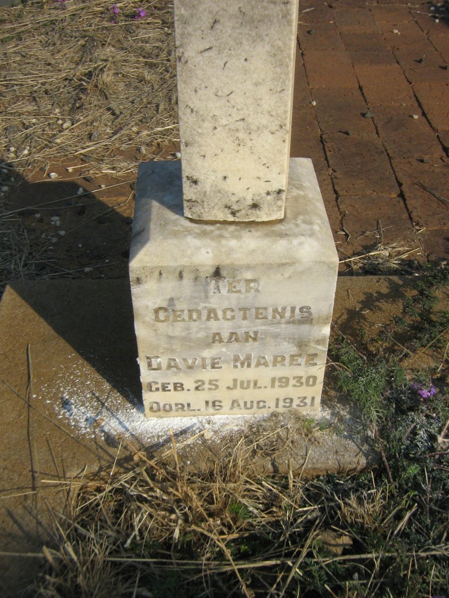 MAREE Davie 1930-1931