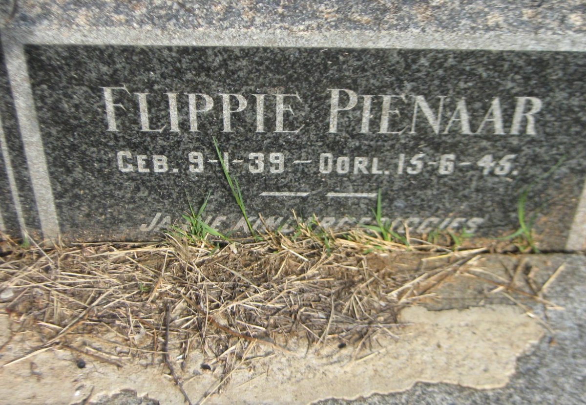 PIENAAR Flippie 1939-1945