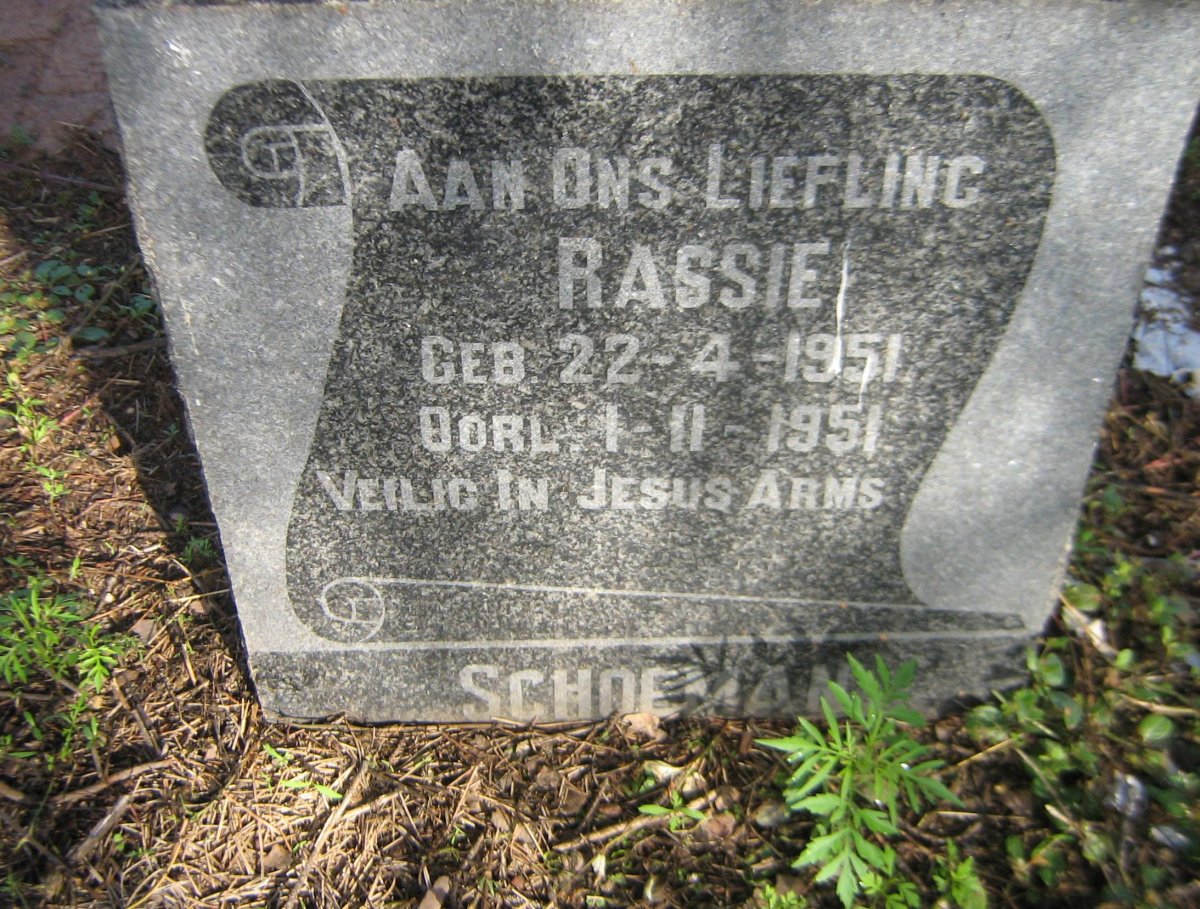 SCHOEMAN Rassie 1951-1951