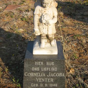 VENTER Cornelia Jacoba 1946-1954