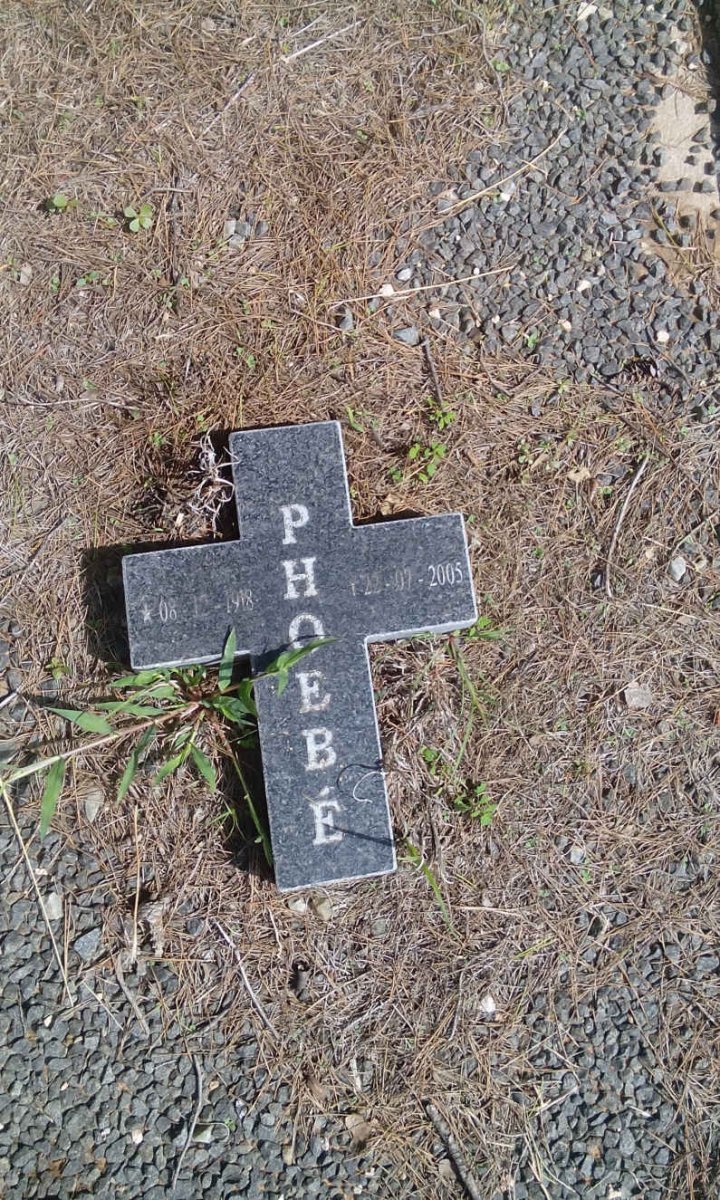 BRUWER Cornelis Adrian 1912-19?? &amp; Phoebe 1918-2005