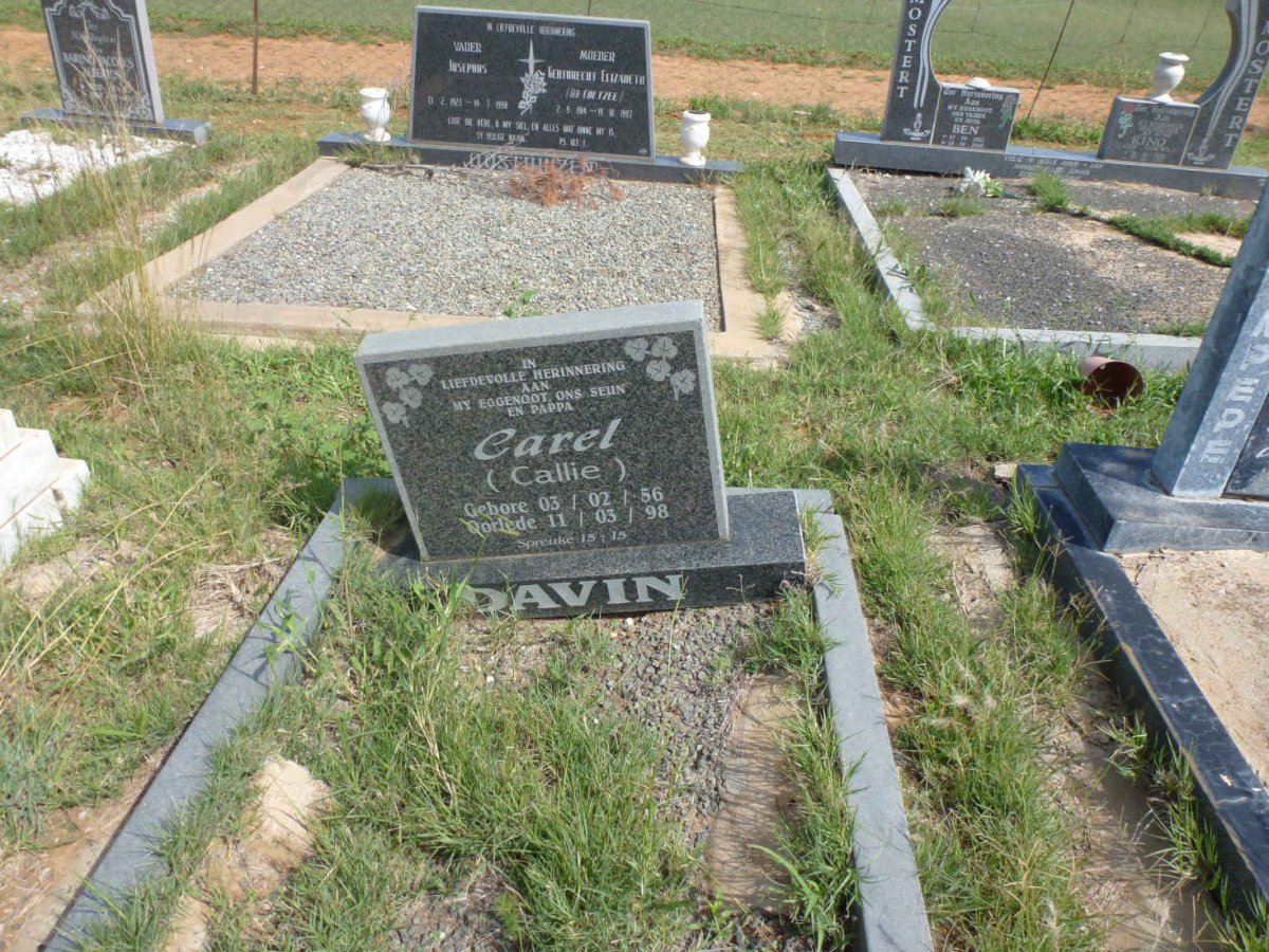 DAVIN Carel 1956-1998