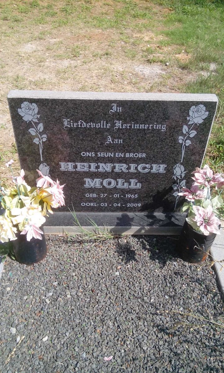 MOLL Heinrich 1965-2009
