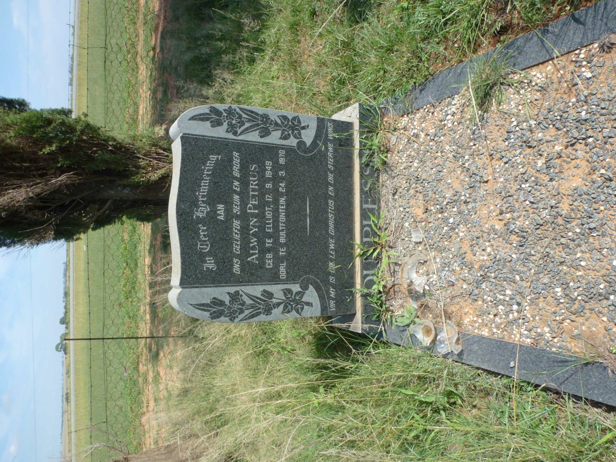 PLESSIS Alwyn Petrus, du 1949-1970