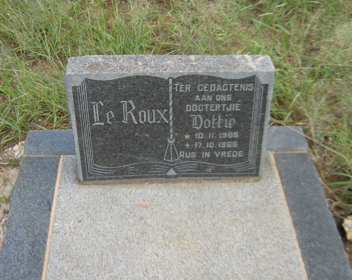 ROUX Dottie, le 1965-1966