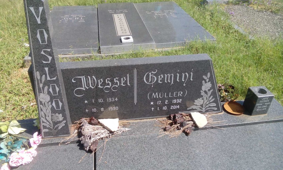 VOSLOO Wessel 1934-1990 &amp; Gemini MULLER 1932-2014