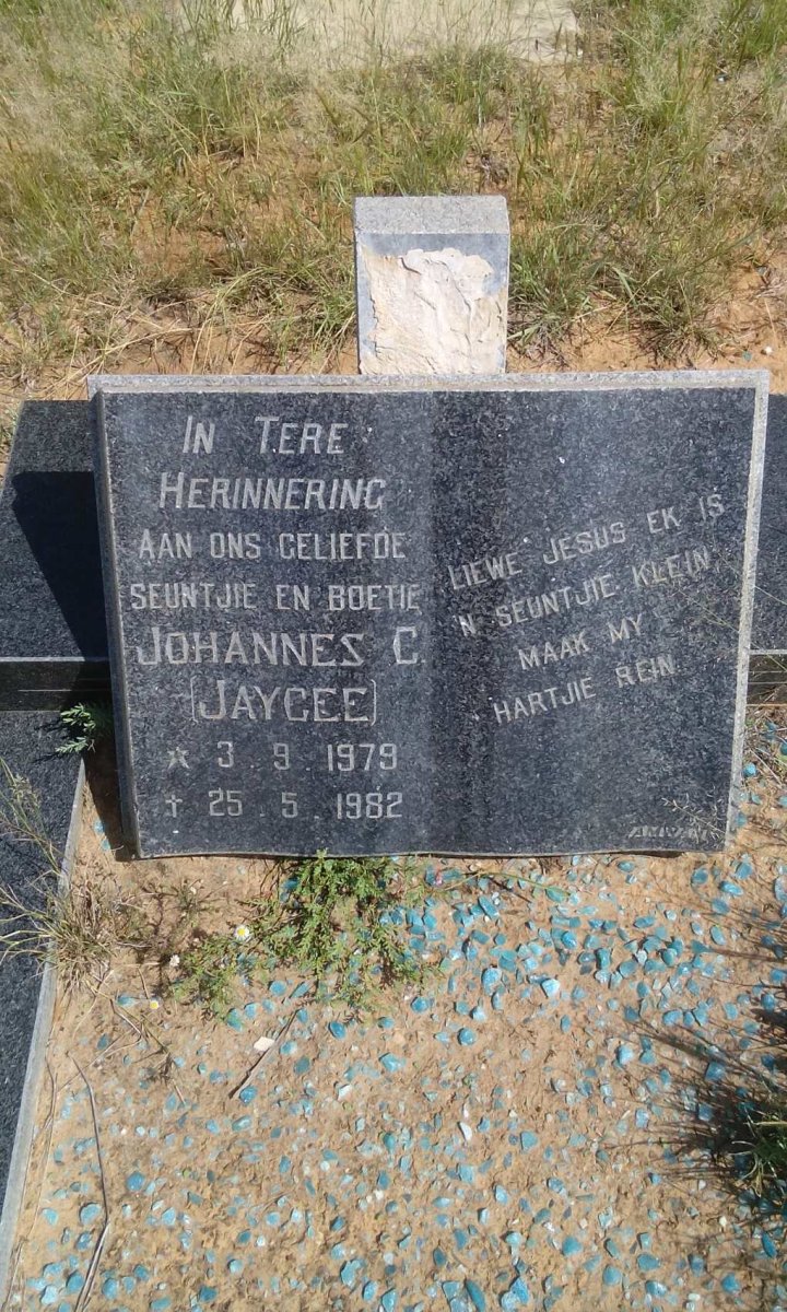 ? Johannes C. 1979-1982