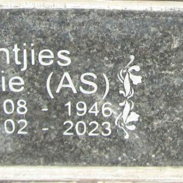 MEINTJIES A.S. 1946-2023