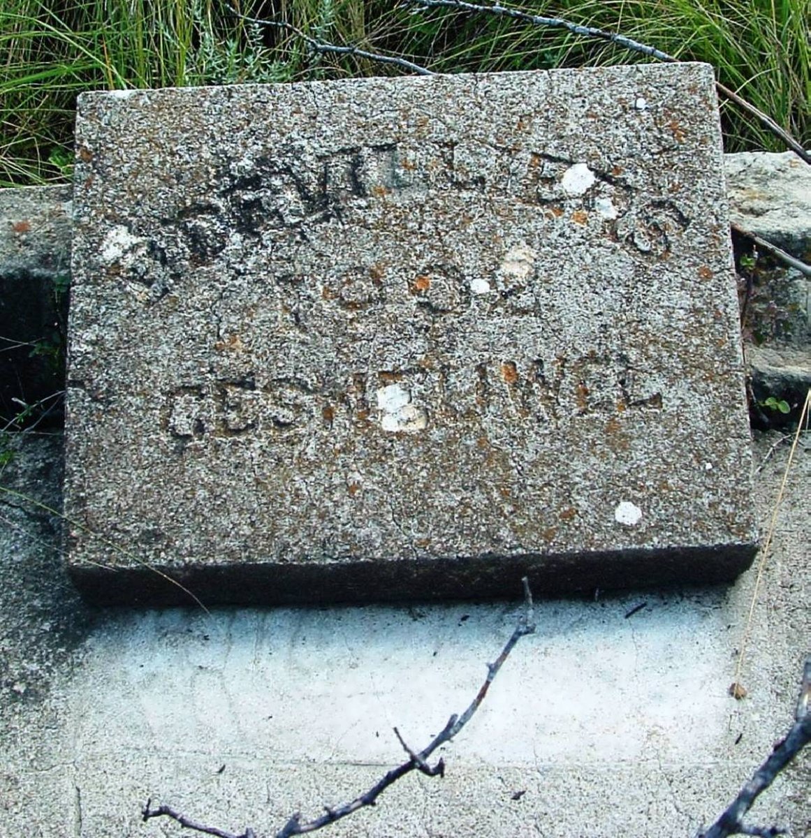 VILLIERS P., de -1902