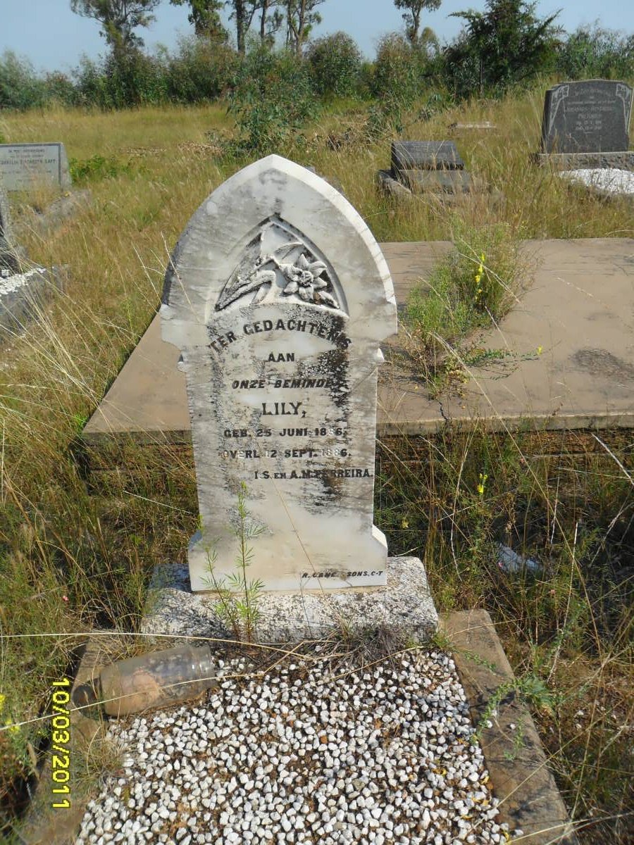 FERREIRA Lily 1886-1886