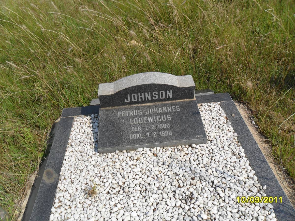 JOHNSON Petrus Johannes Lodewicus 1980-1980
