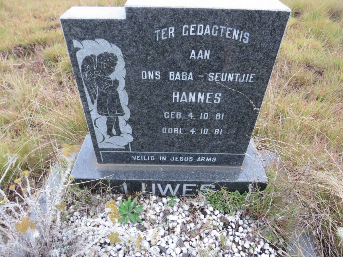 LUWES Hannes 1981-1981