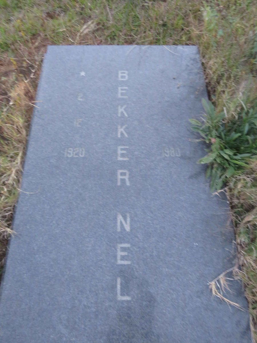 NEL Bekker 1920-1980