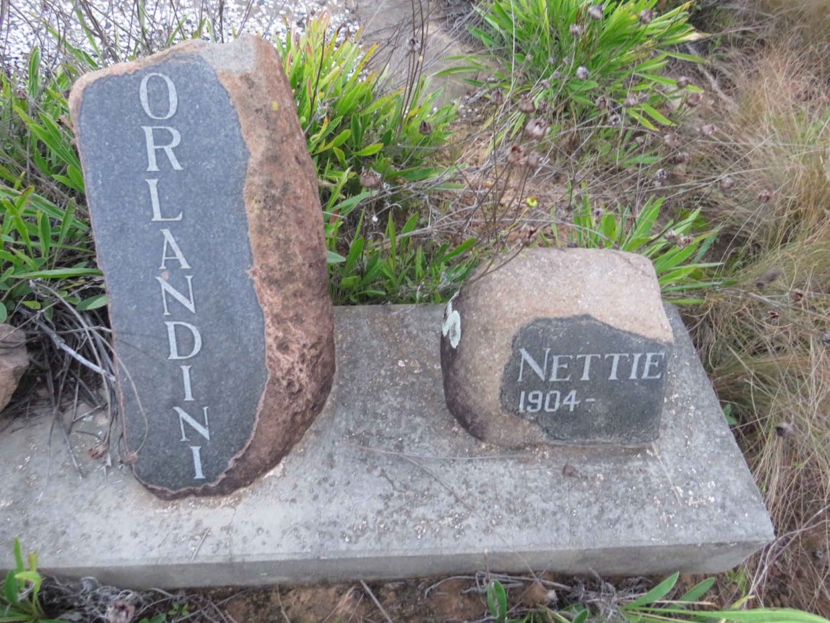 ORLANDINI Nettie 1904-